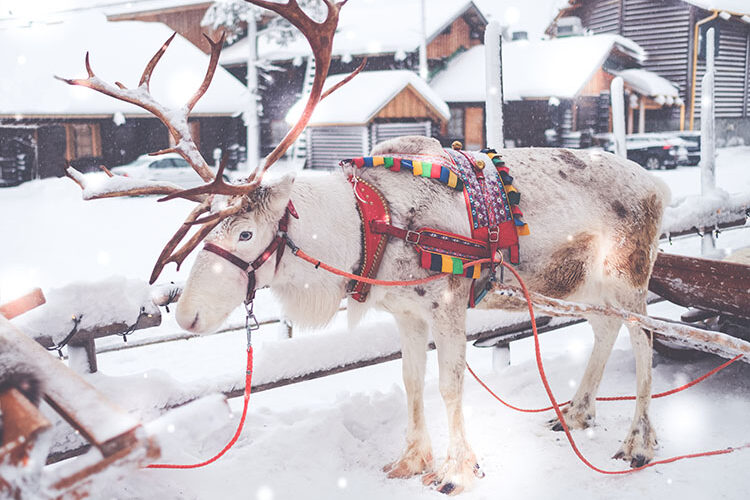 Santa Claus Village Fins Lapland