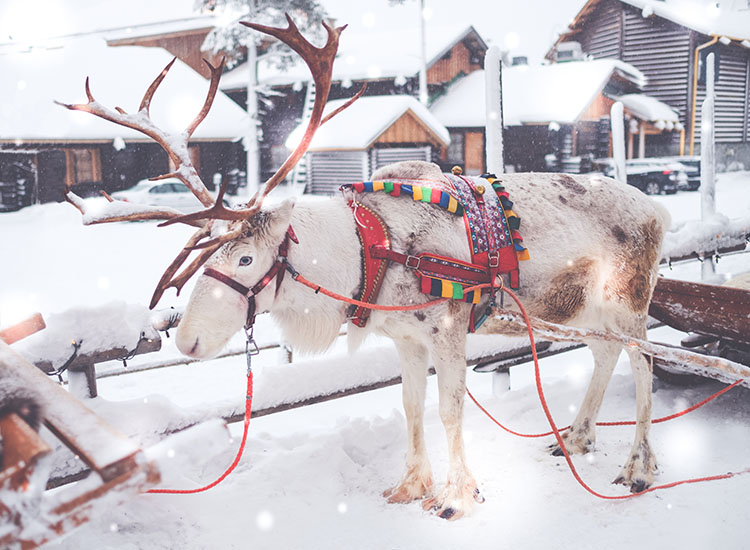 Santa Claus Village Fins Lapland