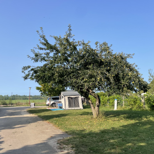Excellent transit campsite in France: camping du Lac de Villegusien