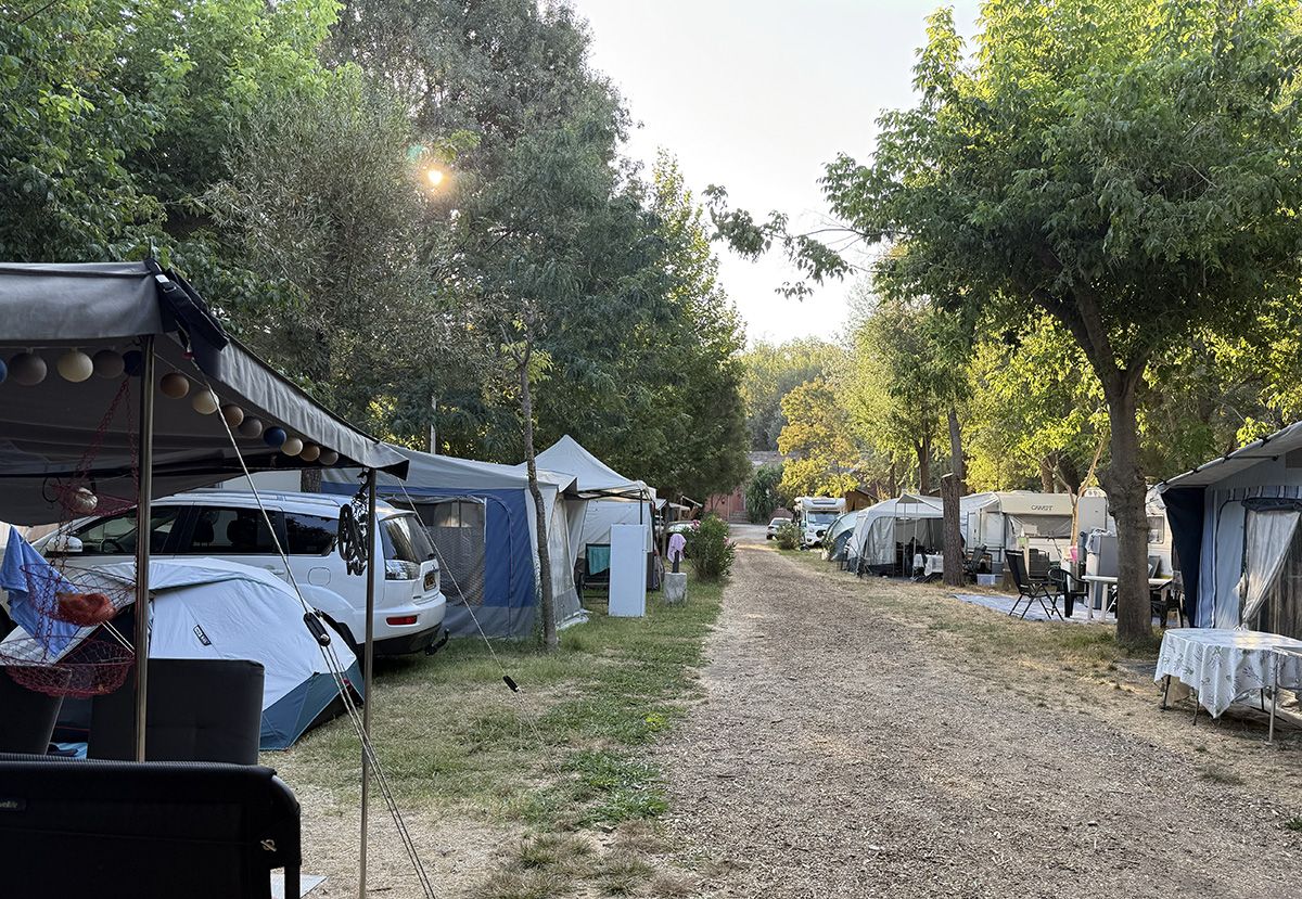Gravel path through pitches with tents and caravans at Camping Parc Bellevue Cannes, shaded by tall trees.